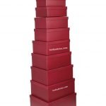 10 Lu Hediye Kutu Seti A10-8