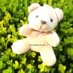 Mini Ayıcık 