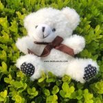 Mini Ayıcık 
