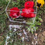 Pleksi Hediye Kutu A- A5