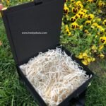 Hediye Kutusu RTE B9